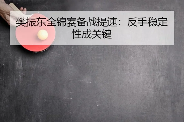 樊振东全锦赛备战提速：反手稳定性成关键